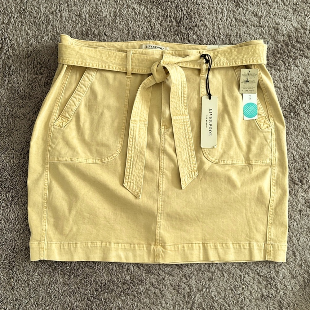 Plus size denim skirt
